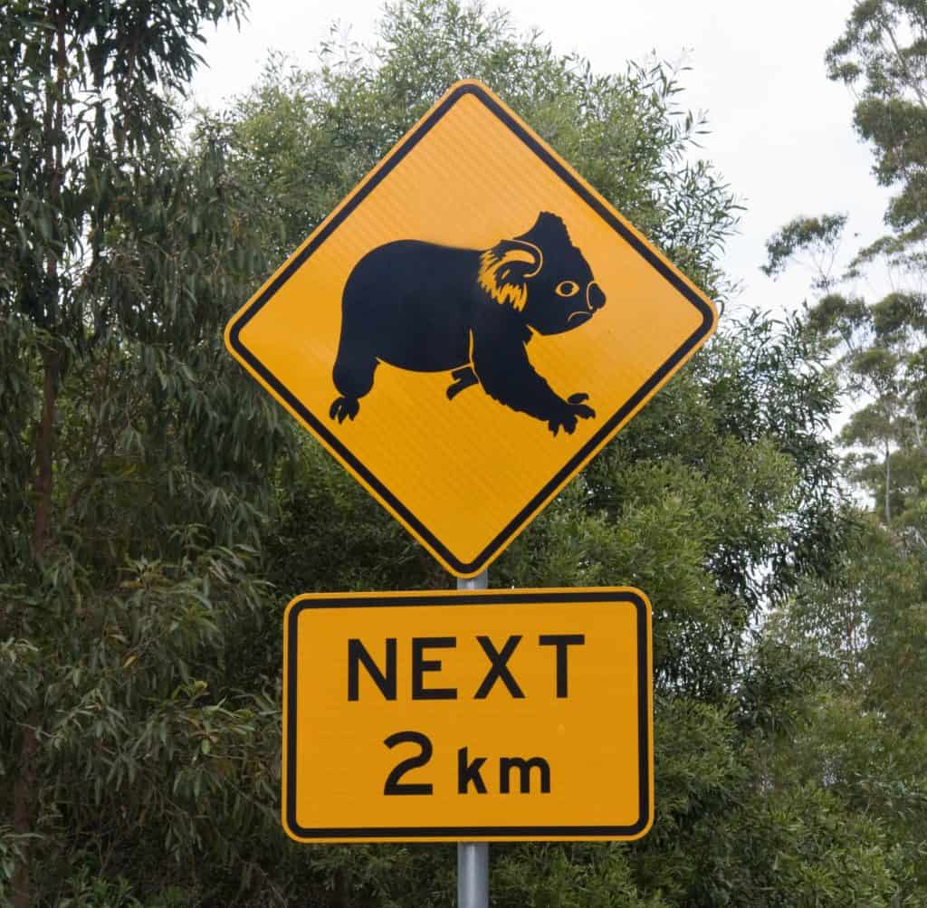 Koalas next 2 km road sign