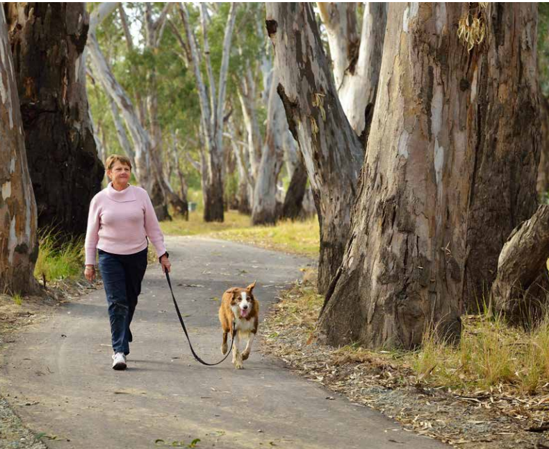 A woman walking a dog on a lead