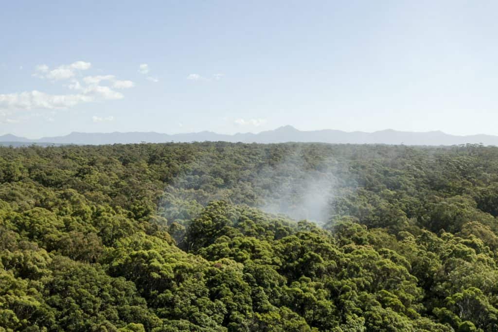 A green landscape with smoke from a cultural burn rising at the centre