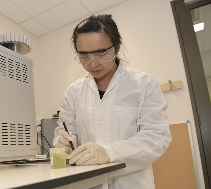 Jessie Au in a laboratory coat, working on her PhD on the nutritional value of koala habitat and how this affects the behaviour and population of wild koalas