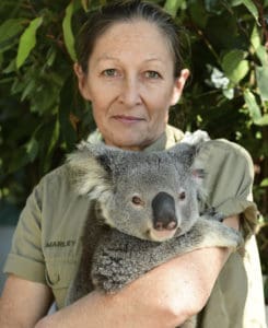 A woman holds a koala