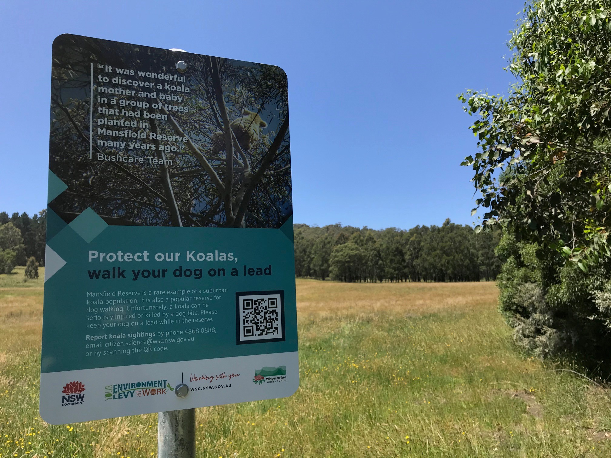 'Protect our koalas, walk your dog on a lead' sign
