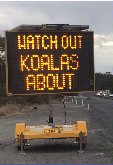 An example of mobile vehicle strike signage saying 'watch out, koalas about'