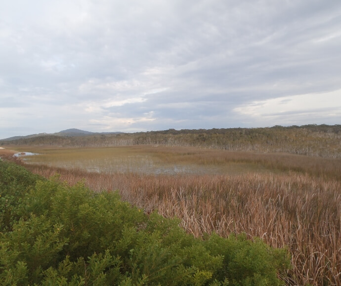 Belmore River Biodiversity Stewardship Agreement site
