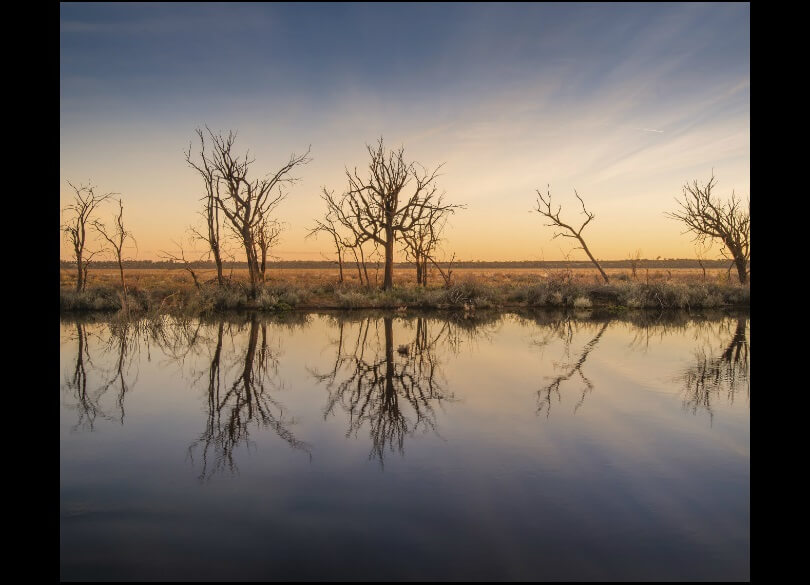 Mid Murray River wetlands at sunrise