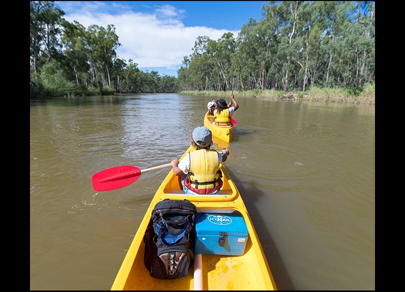 Canoeists paddling on the Murray River canoe trail