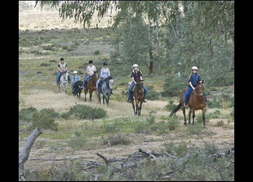 A group rides horses single file through the Murrumbidgee Valley National Park