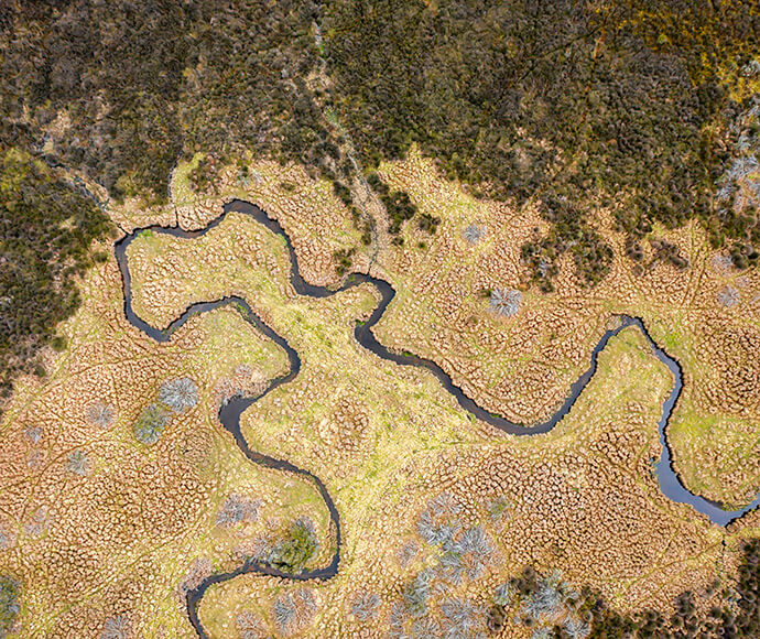 Aerial view of Polblue Swamp in Barrington Tops National Park