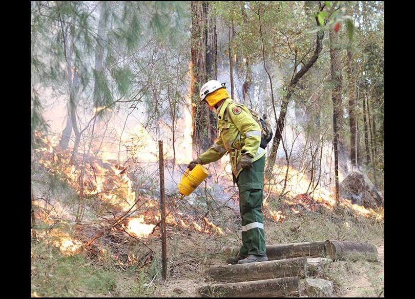 Staff from Metro South West and Blue Mountains regions undertaking the Pisgah Ridge hazard reduction burn near Glenbrook in the Blue Mountains National Park 