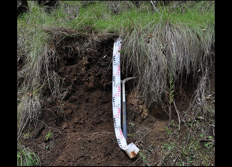 Profile of a Brown Ferrosol near Glenrock in the Hunter catchment NSWc