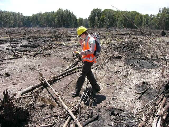 Person wearing high-vis vest and hard hat looking at a GPS while walking in an area of cleared land with fallen broken trees