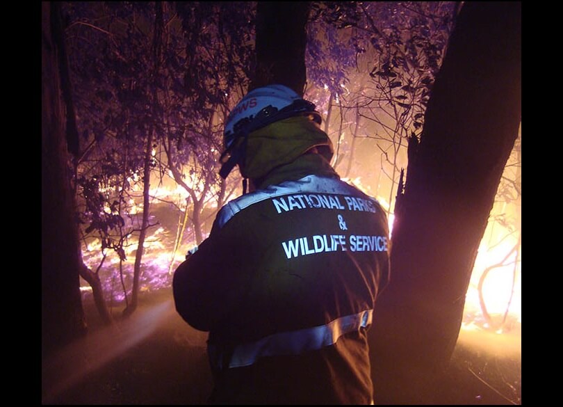 Hazard reduction at night Georges River National Park field officer Enhanced Bushfire Management Program EBMP 