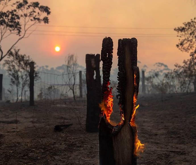 Tree stump on fire, with burnt bushland all around.