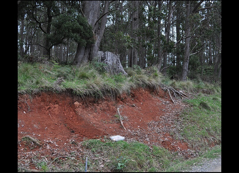 Roadside embankment showing a Red Dermosol in the Nowendoc/Tuggolo Creek region in the Hunter catchment NSW.