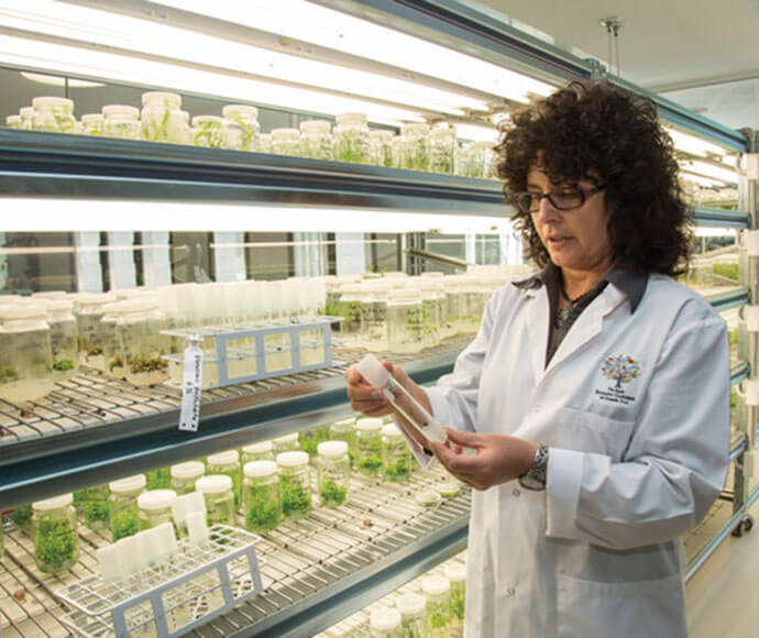 Scientist in a white lab coat standing in front of vast shelves of plants growing under lights.