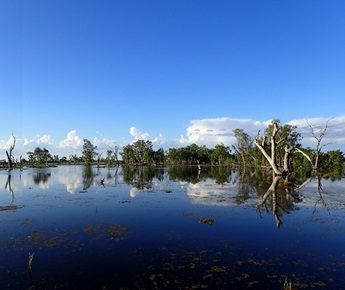 The sky reflects on the Macquarie Marshes in the Southern Nature Reserve