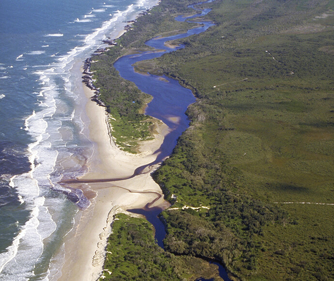 Jerusalem Creek, mangrove and saltmarsh area