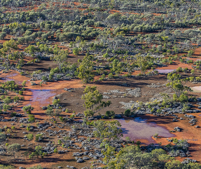 Aerial view of a rugged landscape with green vegetation, a winding dirt path, and scattered rock formations