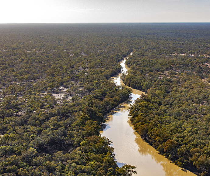 Aerial view of a winding river cutting through a dense forest