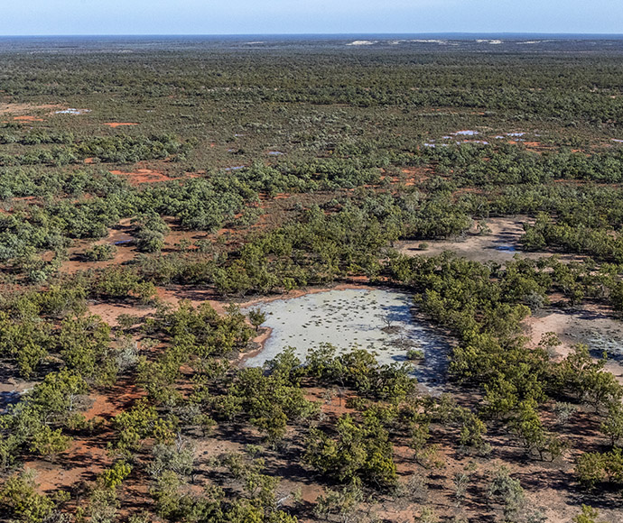 Aerial view of a dense forest with patches of open land and a small body of water