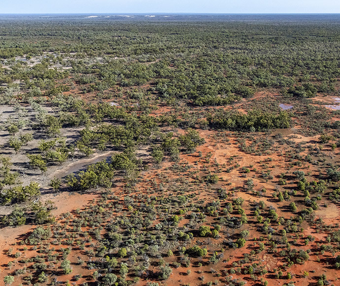 Aerial view of dense green vegetation with patches of red sandy soil