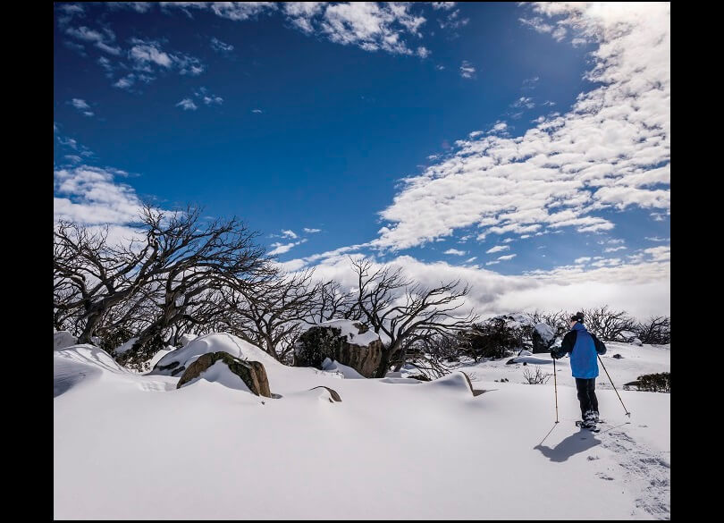 A person in blue winter gear cross-country skiing on a snow-covered landscape with bare trees and a bright blue sky dotted with fluffy white clouds.