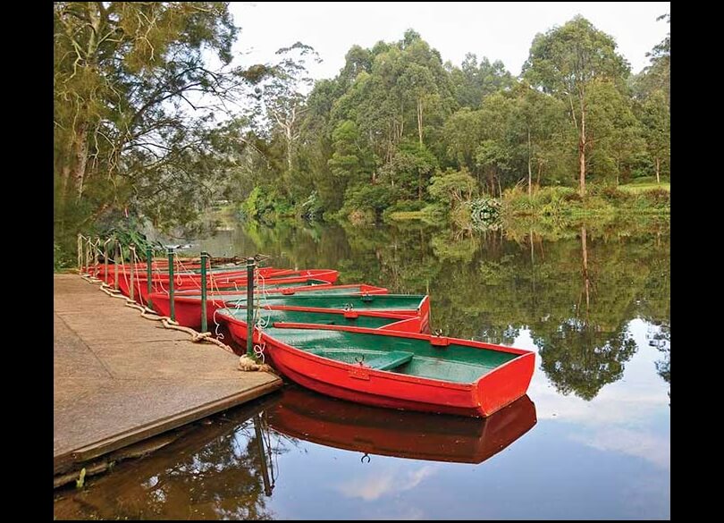 Red row boats tied up to the dock in the river at Lane Cove National Park.