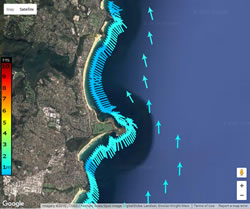 Screenshot of aerial map of the East coast of NSW showing blue arrows pointed upwards near the coast, indicating small waves coming from the south