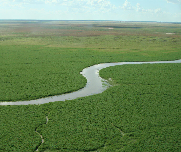 Narran Lake Nature Reserve. RAMSAR site, a rare and unique wetland, undisturbed terminal lake system