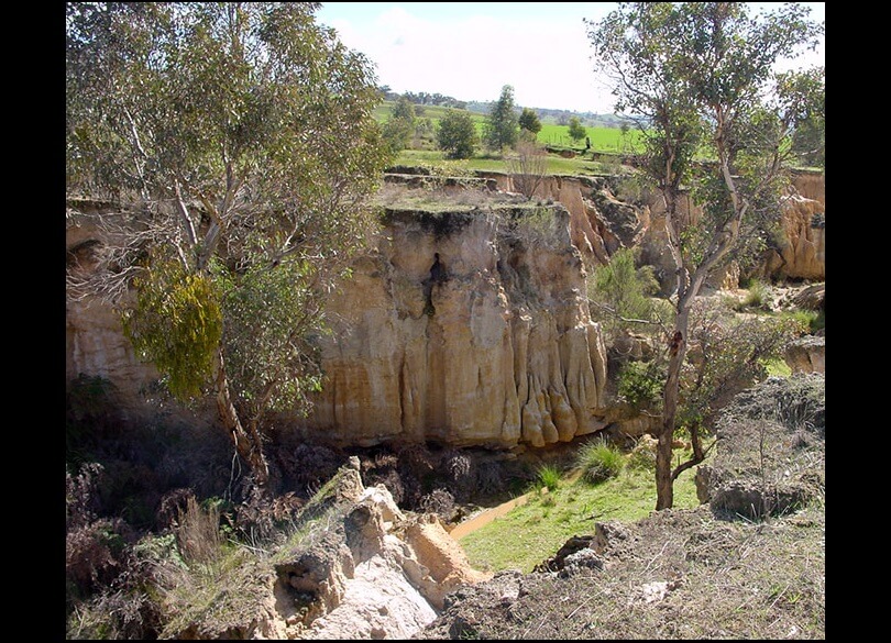 Soil erosion evident on the vertical sides of a gully at Gundagai, NSW.