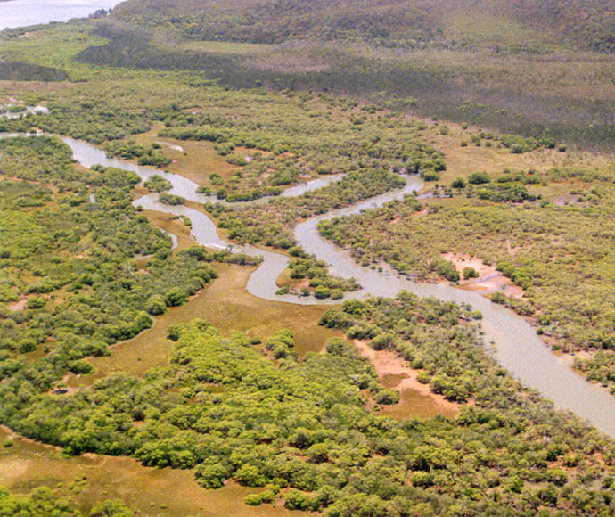 A winding river meandering through a lush landscape with dense patches of greenery. The river creates intricate patterns as it flows, surrounded by various shades of green vegetation, indicating a fertile and moist environment.