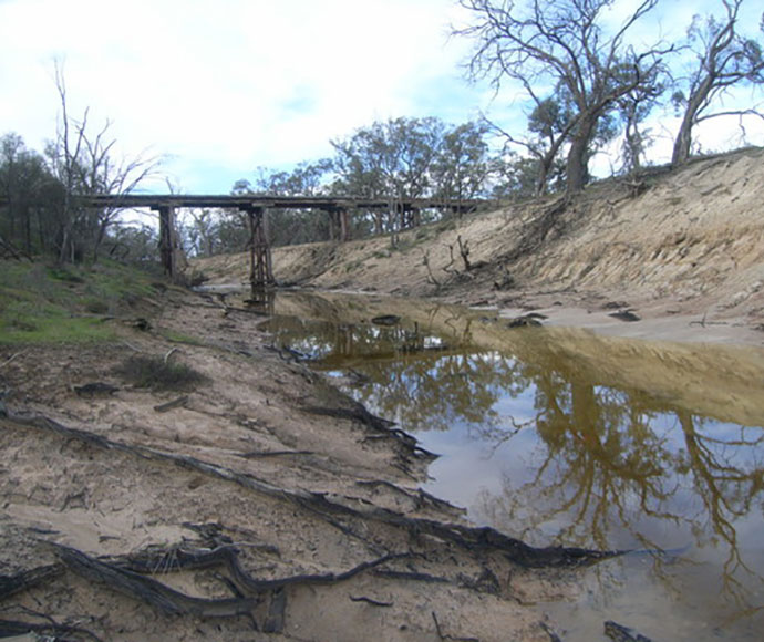 Landscape of Inland acid sulphate soil with pale yellowish and white tones, visible water pooling, and reflections on the surface. Bare trees and a wooden bridge are in the background, indicating environmental impact. The soil appears cracked and dry in some areas.