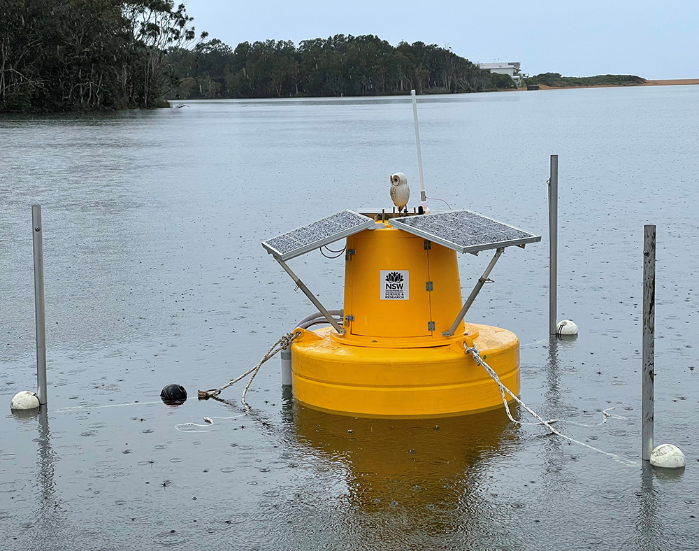 Yellow buoy attached to 3 poles floating on water in lake. The buoy has solar panels for power and a fake owl mounted on top to deter birds.