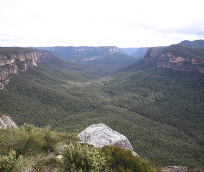 Blue Mountains National Park covers an area of 2,690 square kilometres