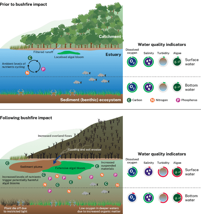 Coloured illustration showing the likely impacts of bushfires on water quality with legend for water-quality indicators