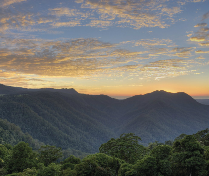 The sun rises over the Gondwana Rainforests of Australia in Dorrigo National Park