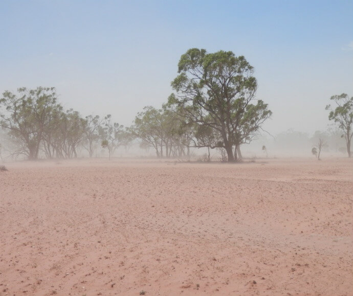 Dust storm covers the land at Narran Lake Nature Reserve. Trees are only just visible through the dust.