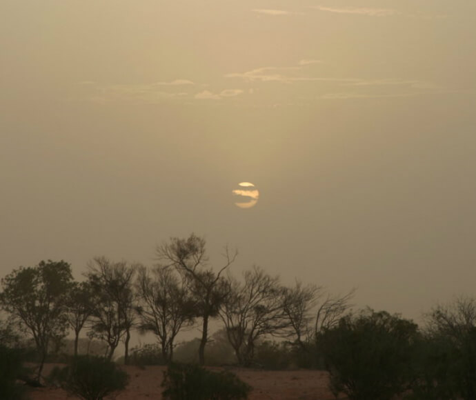 Thick airborne dust obscures the sun, the faint outline of trees can be seen below.