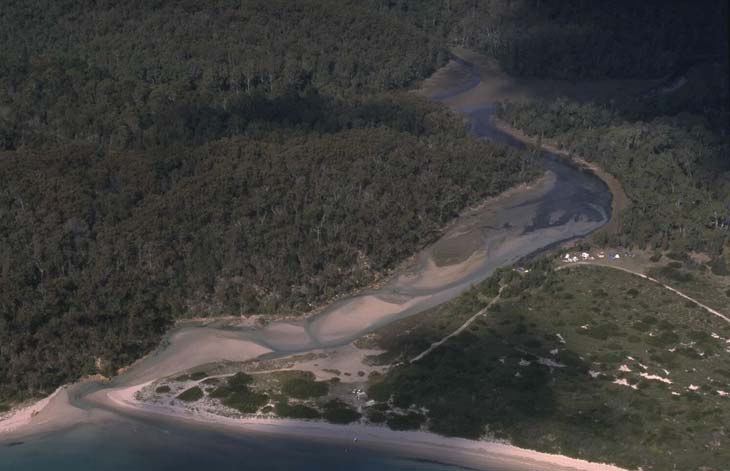 A view of Fisheries Creekmeeting the sea  surrounded by  national park with Fisheries Beach in the foreground