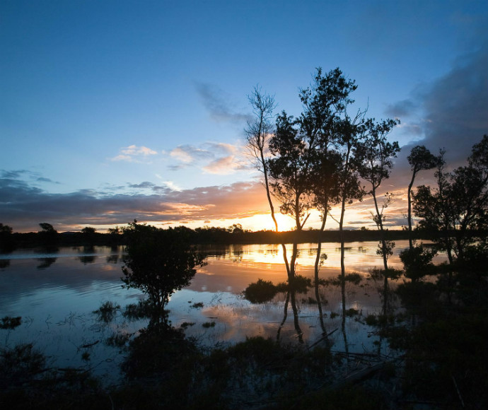 Hunter Wetlands National Park