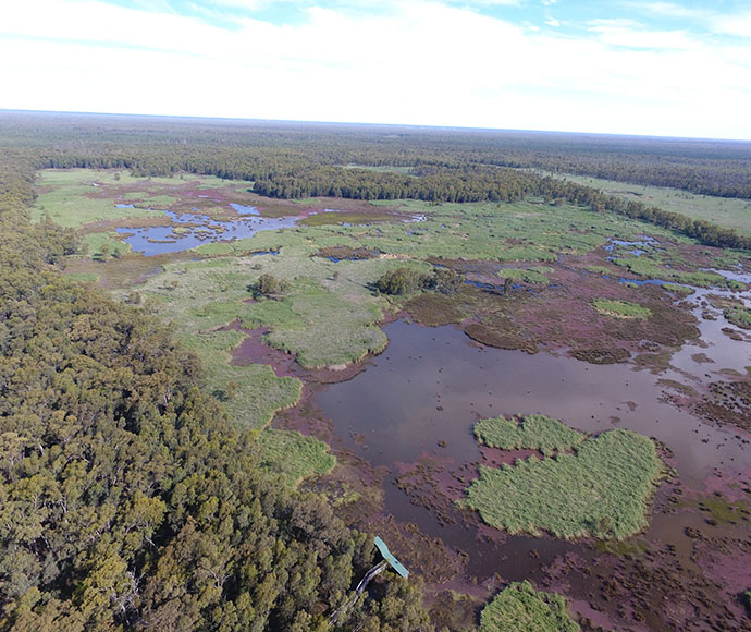 Aerial view of marshland