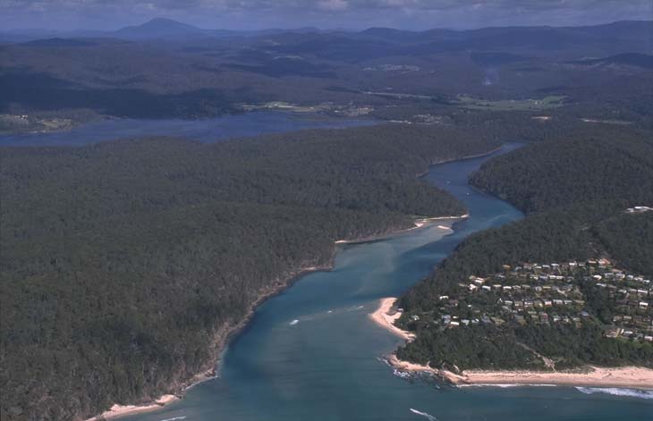 Aerial view of Pambual River, featuring a winding river flowing through dense greenery and emptying into the ocean. The creek meanders from the top right corner to the bottom center of the image, where it meets a beach that stretches along the right side. The surrounding landscape is a dark green forest area. The water appears dark, contrasting with the pale sand along the shoreline.