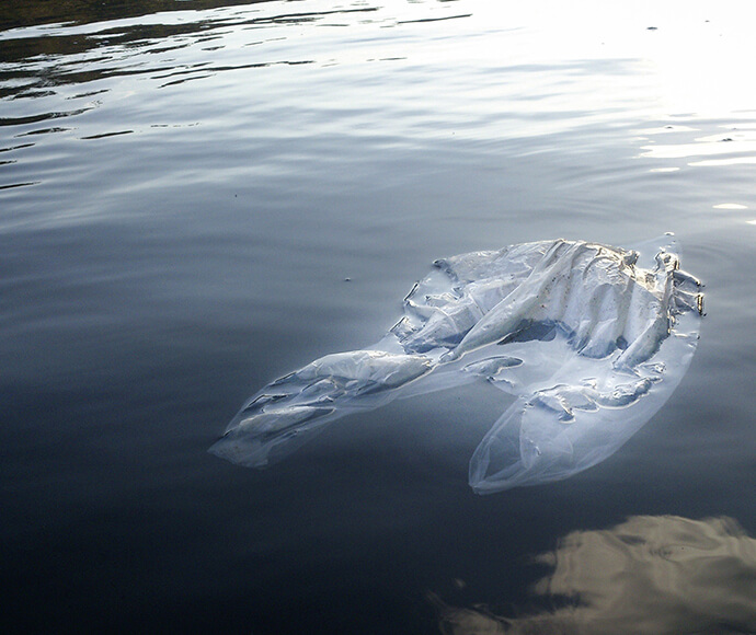 Plastic bag, environmental pollution.