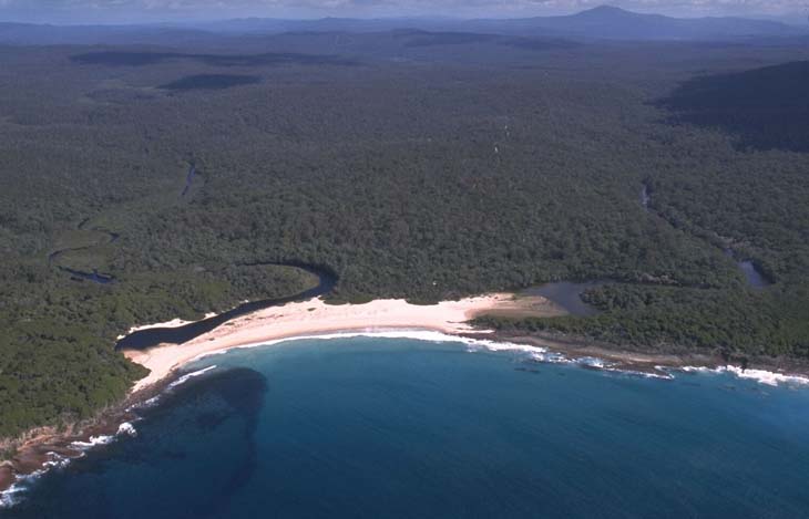 Aerial view of Saltwater Creek in Eden, featuring a curved sandy beach bordering a clear blue bay with waves gently lapping at the shore. The creek winds through dense green forest before meeting the ocean, creating a striking natural landscape with lush forest, sandy beach, and vibrant blue water.