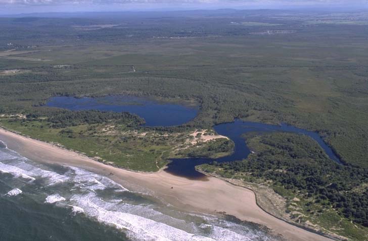 Aerial view of Salty Lagoon adjacent to a sandy beach with waves breaking on the shore. Dense greenery surrounds the water bodies, illustrating the convergence of marine, freshwater, and land ecosystems.