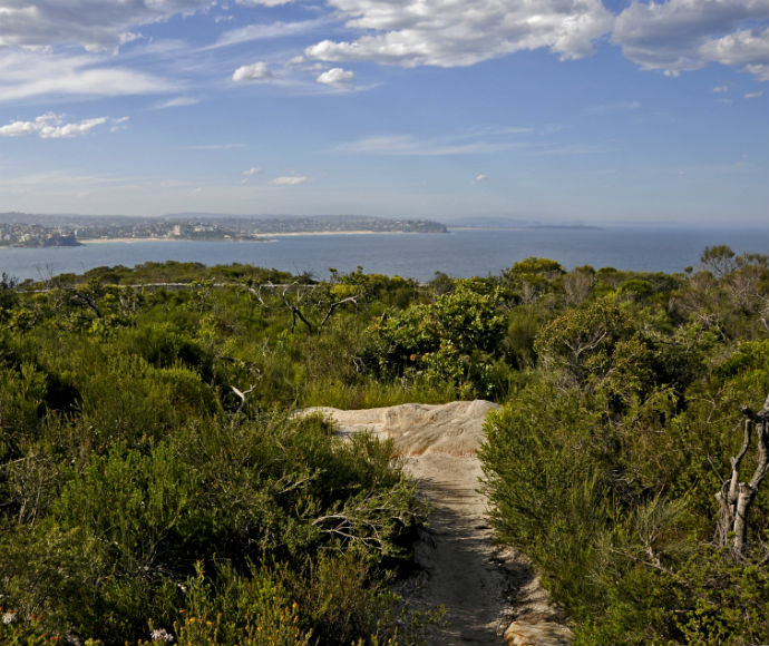 A panoramic view of the Sydney Harbour and Sydney skyline from North Head