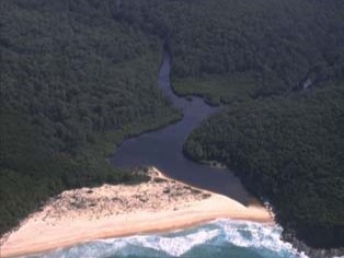 Aerial view of Table Creek flowing through a dense forest and meeting the ocean. The creek’s lighter-colored water contrasts with the dark blue ocean at the beach. The surrounding terrain is covered with lush greenery, showcasing the interaction between freshwater and saltwater ecosystems and the beauty of natural landforms.