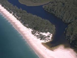 aerial view of telegraph creek winding through bushland before forming an estuary on the sandbank at the beach