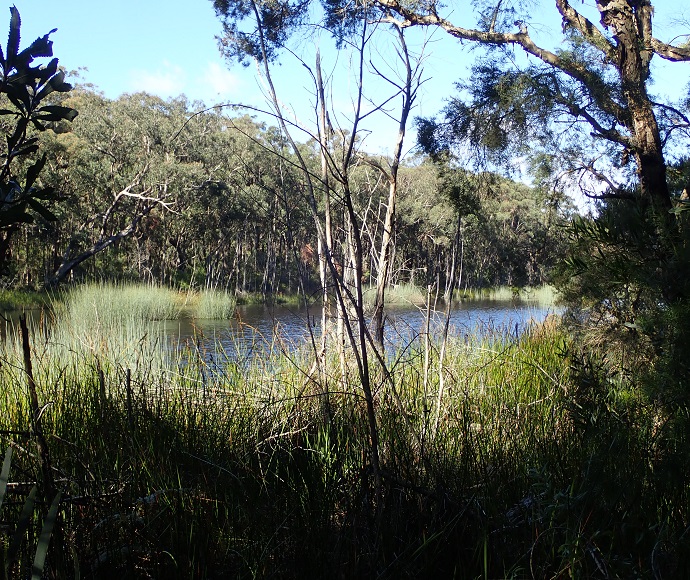 Lake Baraba, Thirlmere Lakes, May 2021