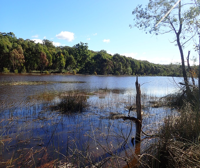 Lake Couridjah, Thirlmere Lakes, May 2021